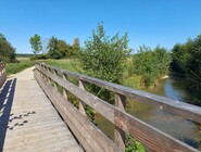 Zone humide Davrey CP Tabéa Posteaux (43).jpg