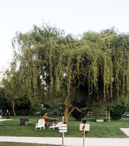 Air du Moulin à Tan