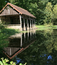 Maraye 20090726_Marc_9985.JPG