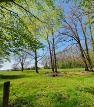 Les Quincarlets.jpeg