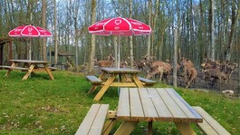 Chez Marie - 1