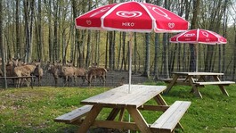 Chez Marie - 2