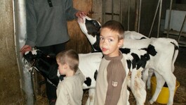Ferme Pédagogique de la Marque - 2