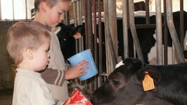 Ferme Pédagogique de la Marque - 1