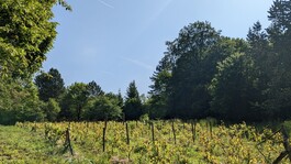 Promenade briennoise - 1