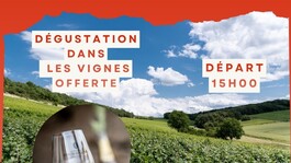 Portes ouvertes au Champagne Binon-Coquard - 1