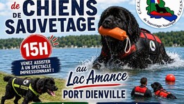 Fête du port - 1