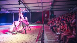 Spectacle équestre “Nahmar” - 2