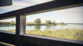 Observatoire du lac Amance - 1
