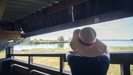 Observatoire du lac Amance - 2