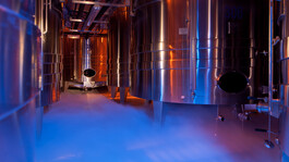 Vignobles en Scène : Dîner immersif dans les caves de Barfontarc - 2