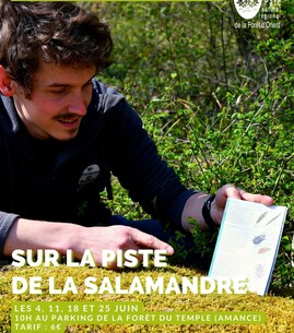 En quête de nature : Sur la piste de la Salamandre - 1