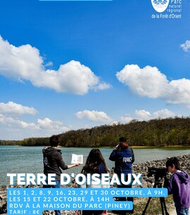 Terre d’oiseaux - 1