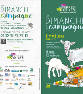 Un Dimanche à la campagne- Pépinières Caccia - 1
