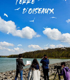 Terre d’oiseaux - 1
