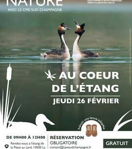 Animation nature : Au coeur de l’étang - 1