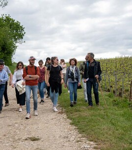 Balade Vigneronne avec le Champagne Binon-Coquard - 1