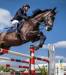 Le Trophée des Rois – Concours de saut d’obstacles - 1