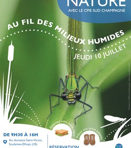 Sortie nature – Au fil des milieux humides - 1
