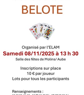 Concours de belote - 1