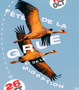Fête de la grue : Atelier nichoir - 1