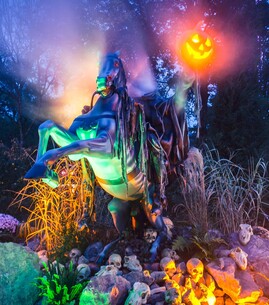 Avant-première Nigloween - 1