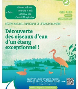 Découverte des oiseaux d&rsquo;eau d&rsquo;un étang exceptionnel ! - 1