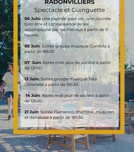 Concert : Tata citronnelle - 1