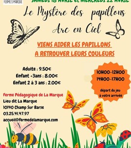 Le mystère des papillons arc-en-ciel - 1