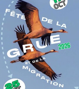 Fête de la grue : Atelier nichoir - 1