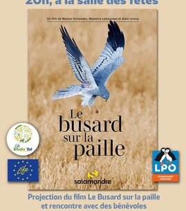 Projection : « Le busard sur la paille » - 1
