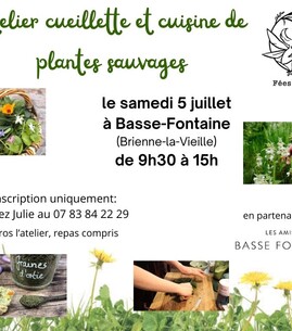 Cueillette et cuisine de plantes sauvages - 1
