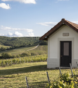 Escapade à la Thiodelle - 1