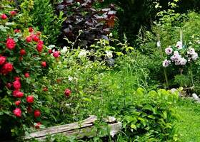 ATC-jardins