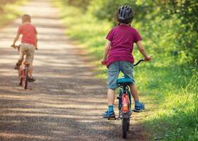 Balade en vélo sous les arbres