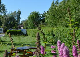 Camping de la Petite Forêt 2017 AIRE-SUR-LA-LYS © SPL Tourisme en Pays de Saint-Omer