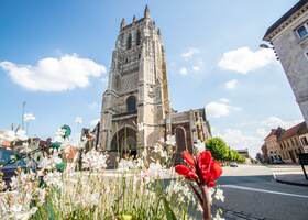 Collégiale Saint-Pierre 2016 AIRE-SUR-LA-LYS © Philippe Hudelle, Tourisme en Pays de Saint-Omer (1)