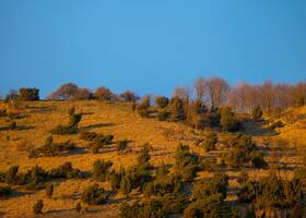 Coteaux de l'Aa - Wavrans-sur-l'Aa © Tourisme en Pays de Saint-Omer - 2