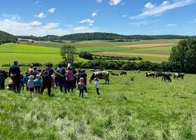 Ferme du Mont Vert 2017 ALQUINES © CCPL (5)