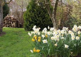 Jardin de Marike_printemps1