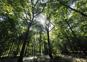 La Héronnière 2010 CLAIMARAIS © Photo Carl - Office de Tourisme de la Région de Saint-Om (2)