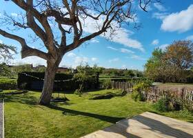 Le jardin depuis la terrasse