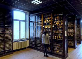 Salle_des_coquillages_musee_henri_dupuis_© Musees de Saint-Omer 3