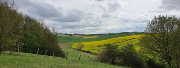 Les Cornées CP Tabéa posteaux (2).jpg