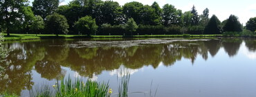 Table de pique-nique.JPG