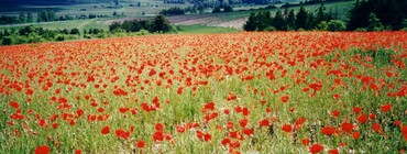 Paysage 2 (concours photo Office de Tourisme).jpg