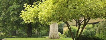 Domaine du Tournefou le parc.JPG