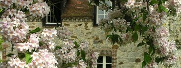 Domaine du Tournefou architecture champenoise.jpg