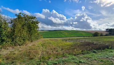 Saint Mards(6).jpg