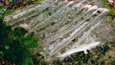 Pierre aux dix doigts 2.jpg